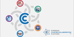 ECCP Membership-web1