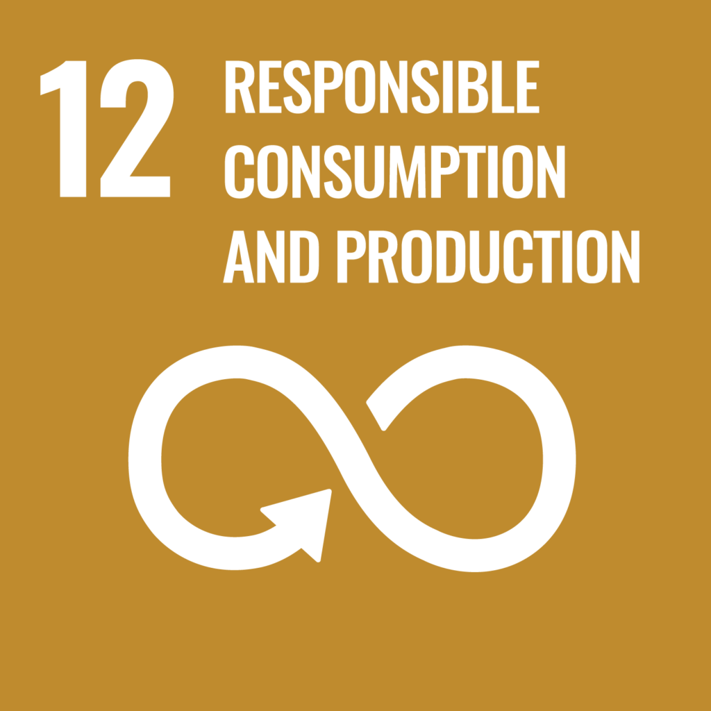 SDG12 Responsible Consumption and Production
